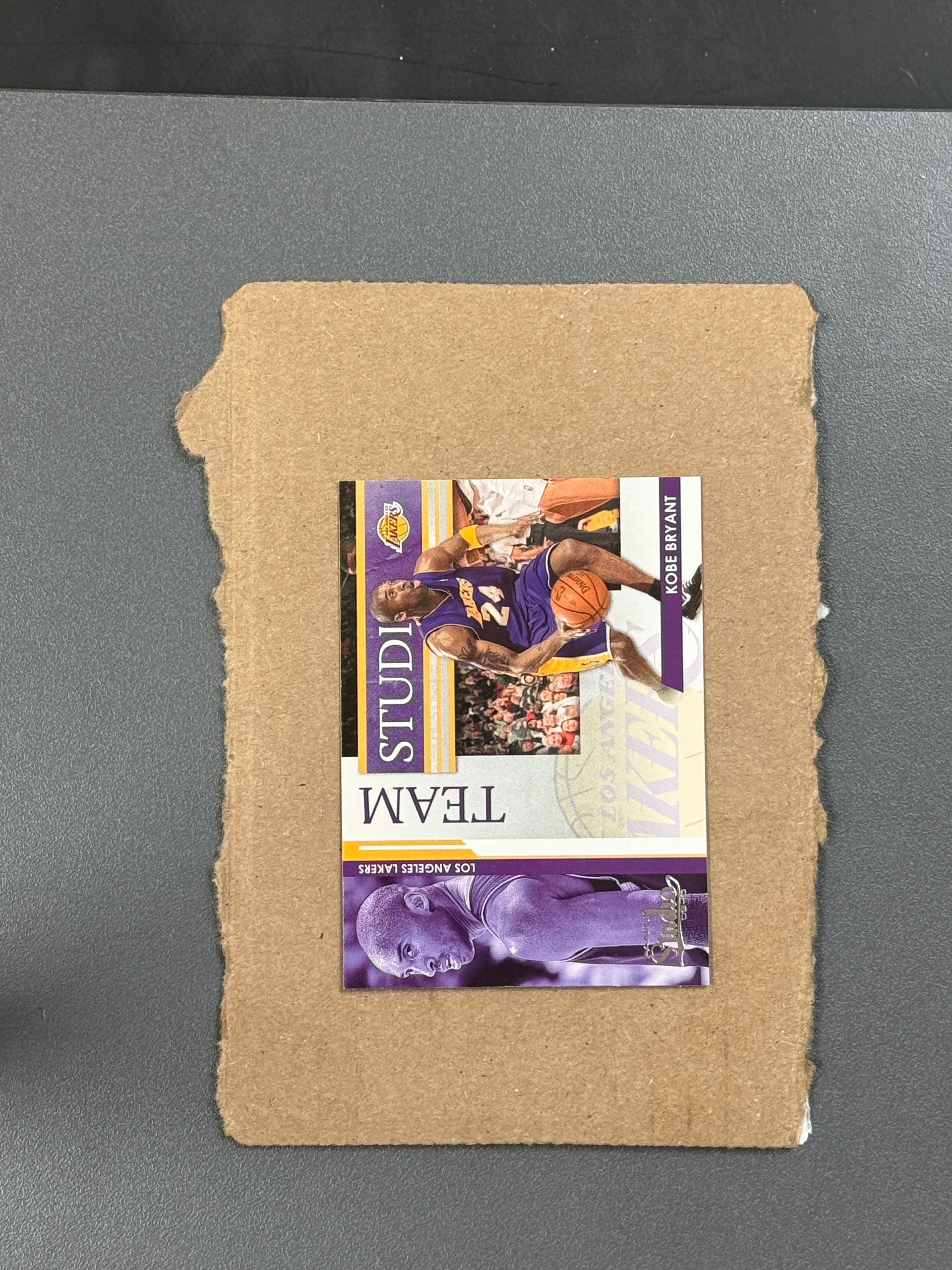 2009 Panini Studio Kobe Bryant / Pau Gasol Team Studio #1