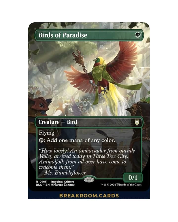 Birds of Paradise (Borderless)